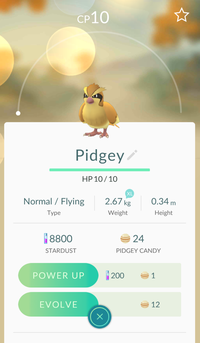 Stardust Pidgey
