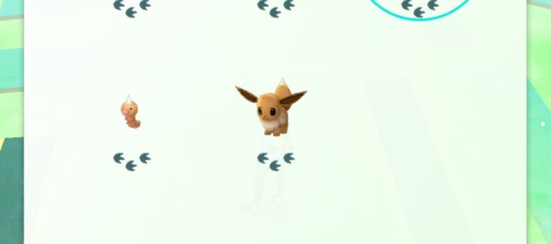 Locate Nearby Pokemon