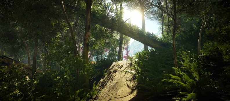 Leaving Lyndow Forest