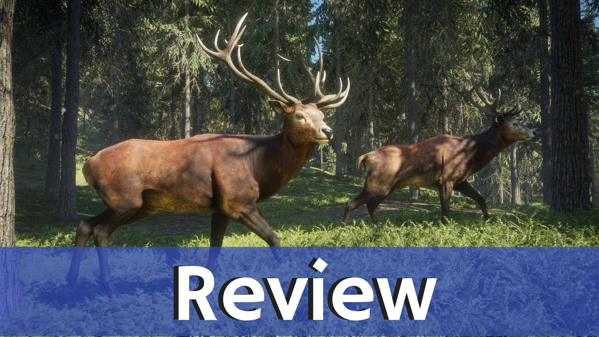 Review: theHunter: Call of the Wild - PS4