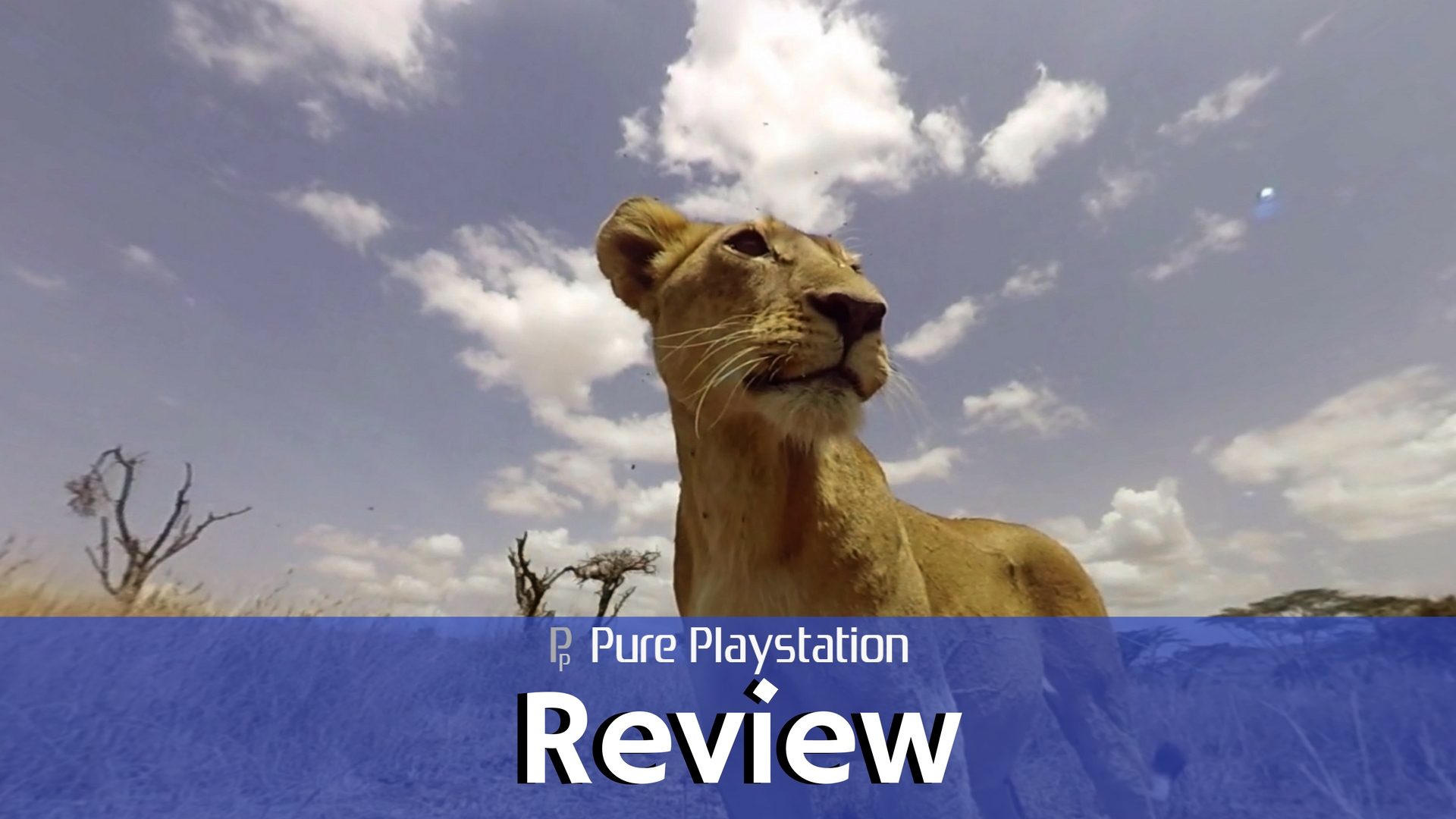 Review: Virry VR - PS4/PSVR