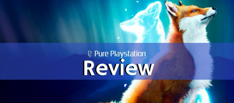 Review 14 e1574162227692