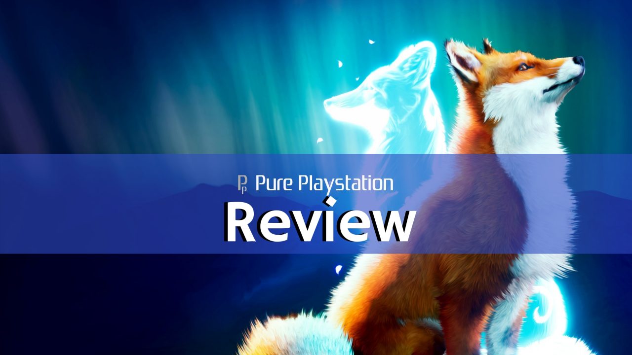 Review 14 e1574162227692