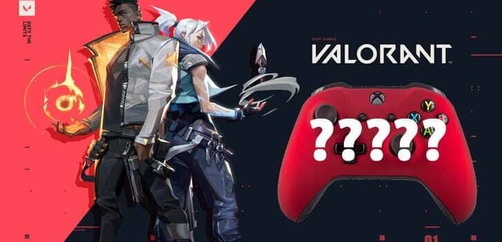 controller can you play with it cover