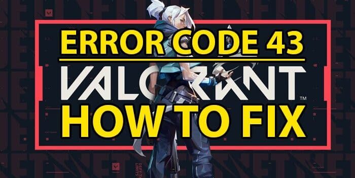 error code 43 valorant