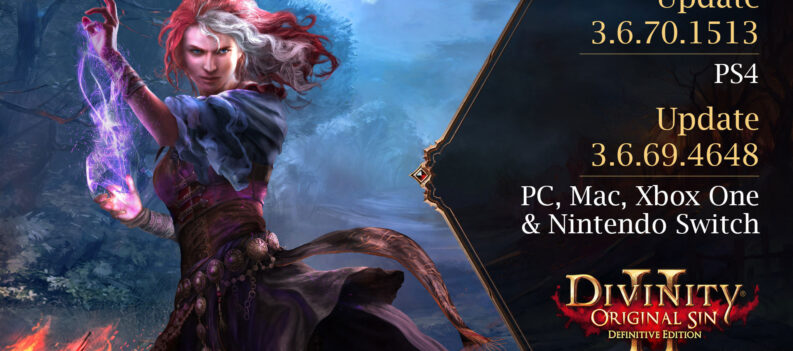 Divinity Original Sin 2