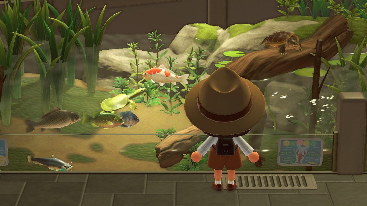 How To Catch A Soft-Shelled Turtle In Animal Crossing: New Horizons