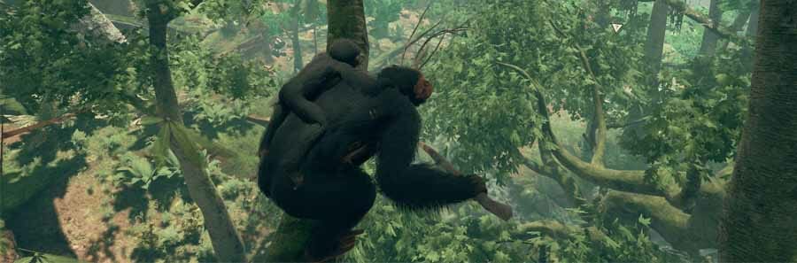 Best Places To Live - Ancestors: The Humankind Odyssey