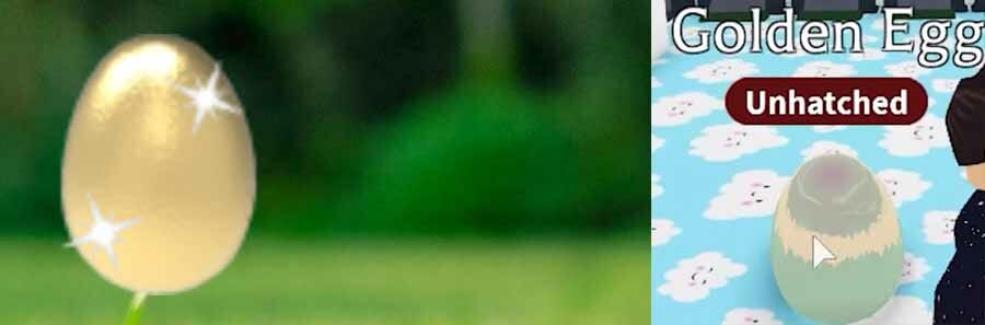 What Is A Golden Egg Worth In Adopt Me?