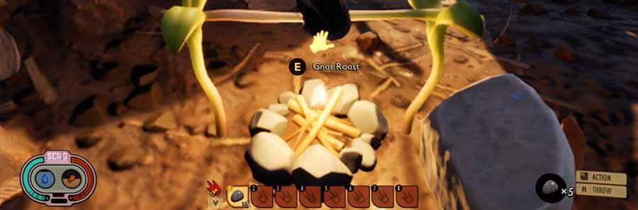 How to Get Food in Grounded & How To Cook It