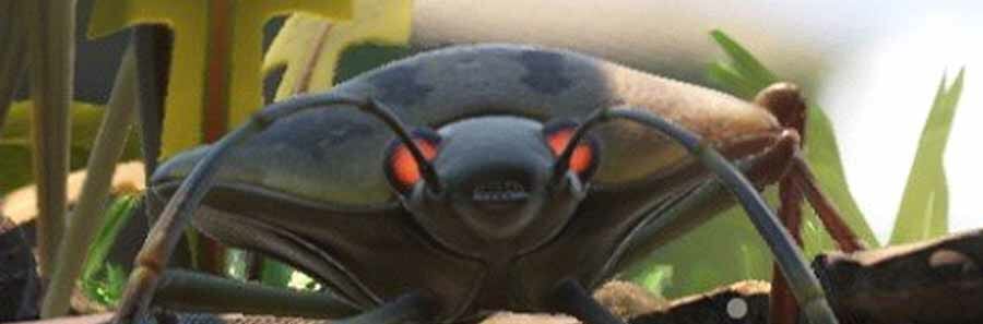 Grounded : All Stink Bug Locations