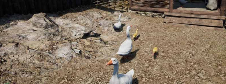 animals medieval dynasty locations