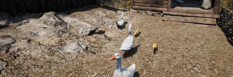 Medieval Dynasty: Animal Locations | All Locations