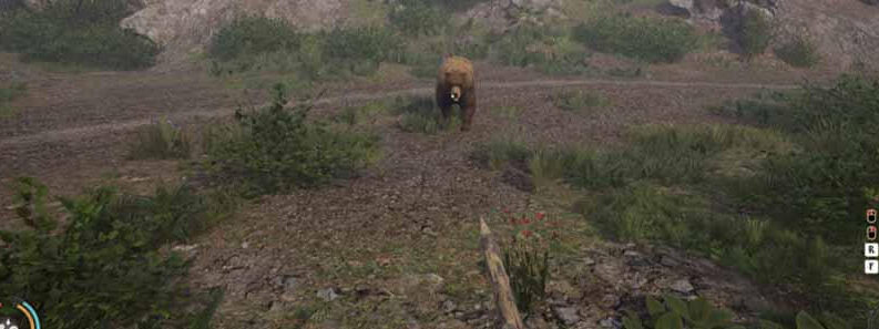 bear medieval dynasty cover