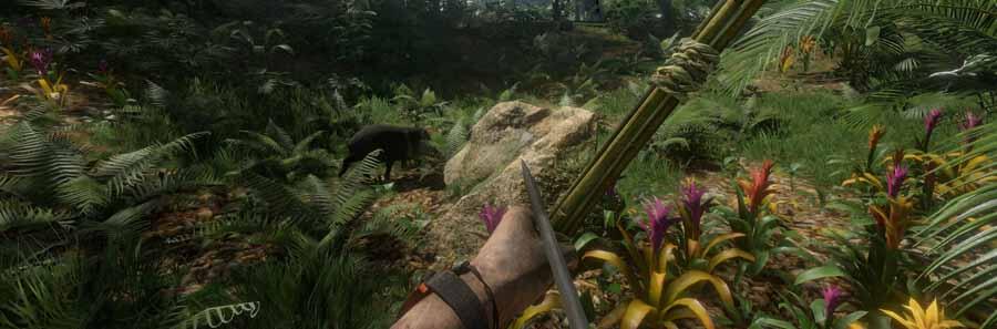 Green Hell : Best Base Location