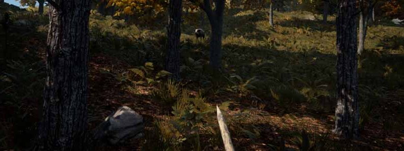 boar medieval dynasty cover