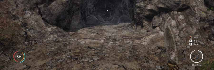 Medieval Dynasty: Cave Location Guide