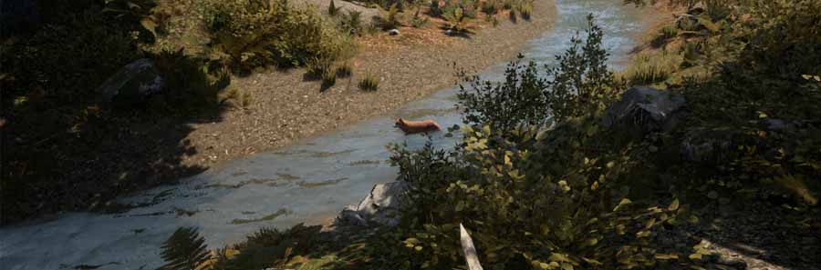 Medieval Dynasty: Fox Location | Where To Find