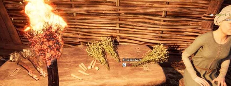 healing guide medieval dynasty cover