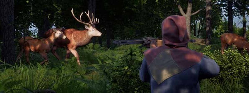 how to farm medieval dynasty cover