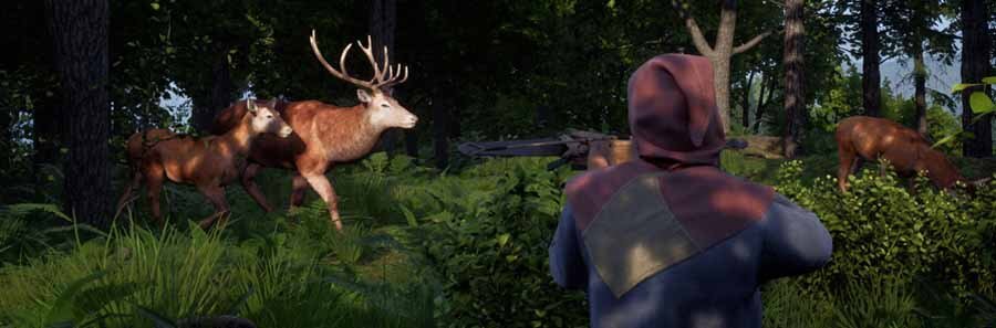 Medieval Dynasty Farming | How to Hunt & Farm