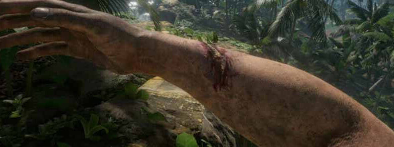 how to get rid of parasites green hell cover