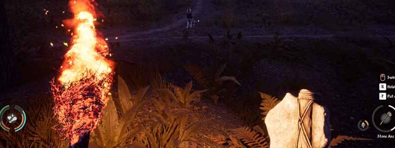 medieval dynasty wolves