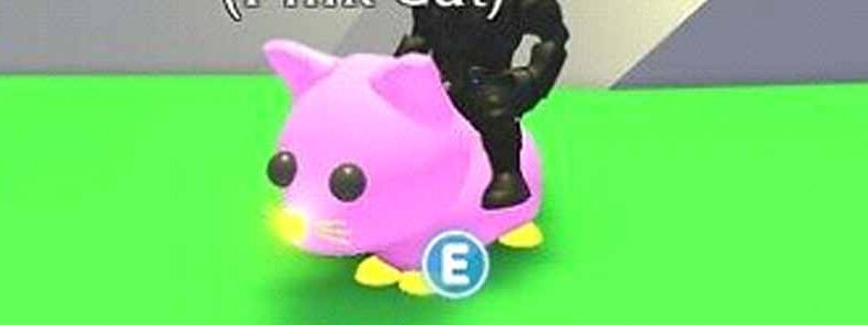 pink cat worth adopt me