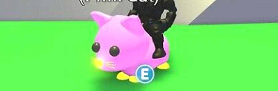 Pink Cat | How much is Worth in Adopt Me