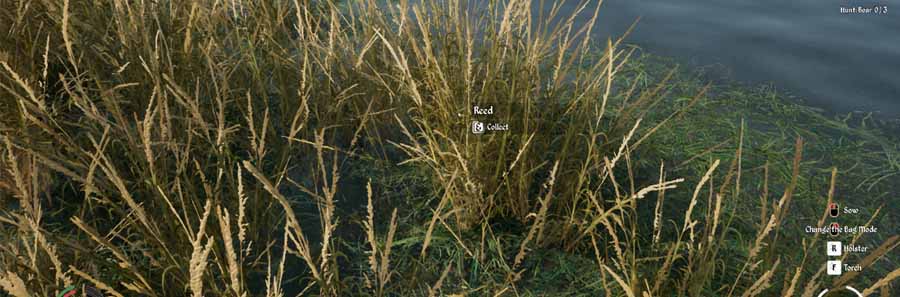 Medieval Dynasty: Reeds | Where To Find