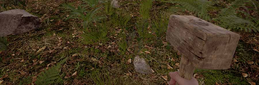 Medieval Dynasty Rocks Location | Where to Find Rocks