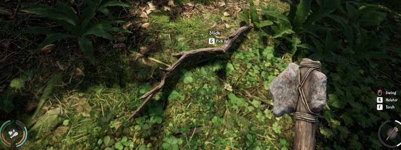 stick medieval dynasty cover