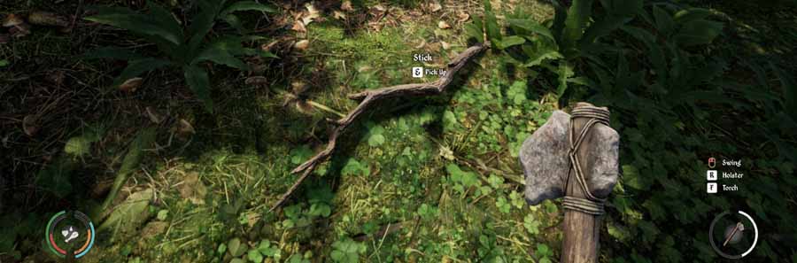 Medieval Dynasty: How to Get Sticks |  Where to Find