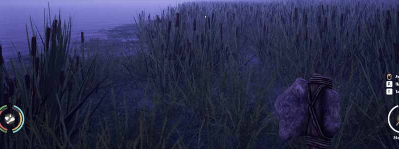 straws medieval dynasty cover