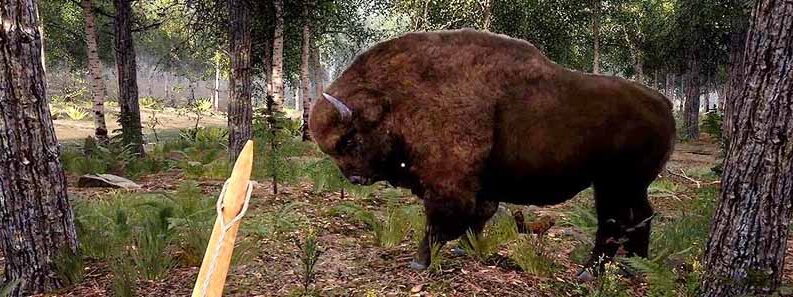 wisent location cover