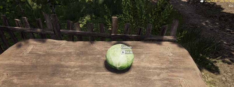 cabbage seed medieval dynasty