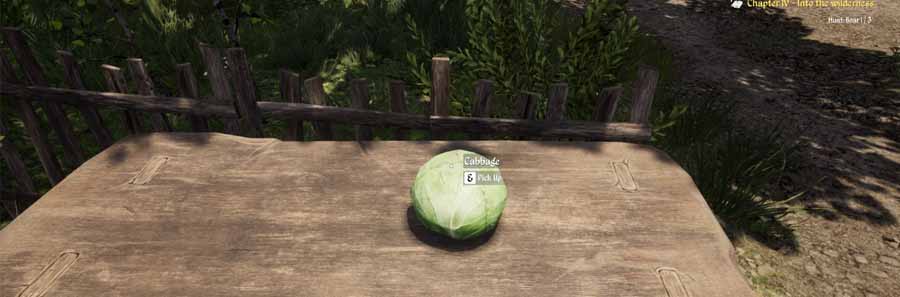 Medieval Dynasty: Cabbage Seed | Where To Find