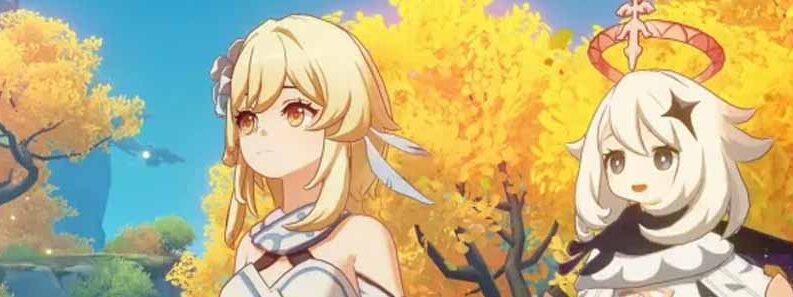 do you need internet to play genshin