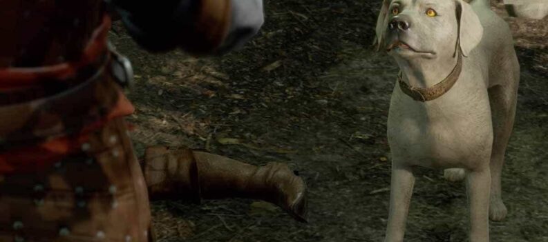 dog pet baldurs gate 3