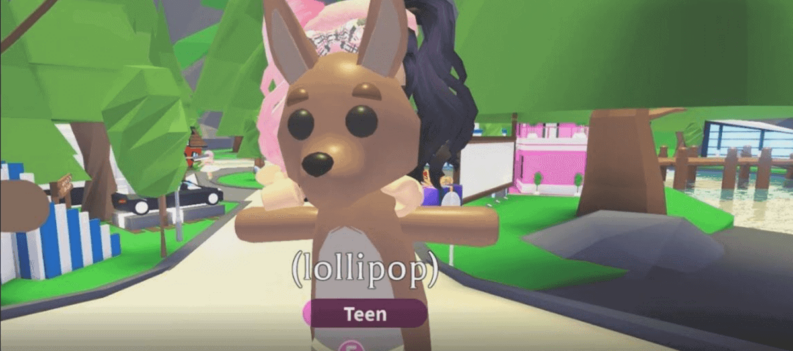 how much is neon kangaroo worth adopt me