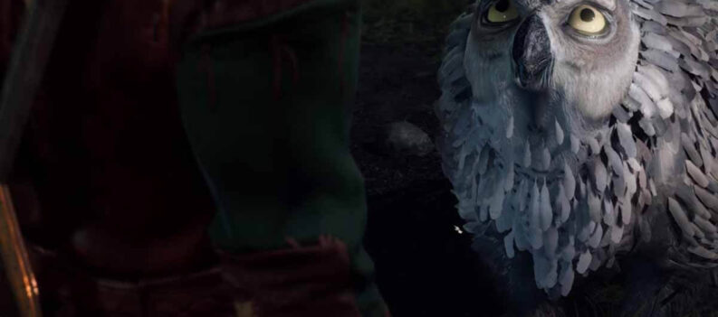 owl bear baldurs gate 3