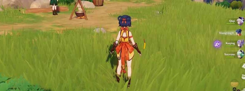 process ingredients genshin