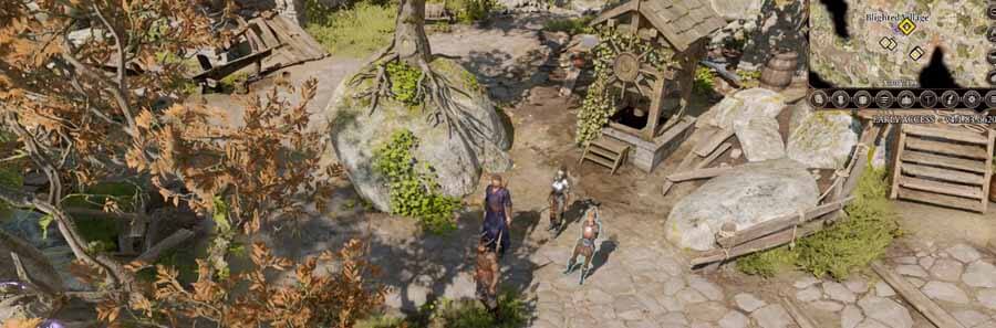 Baldur's Gate 3: Search The Cellar Guide