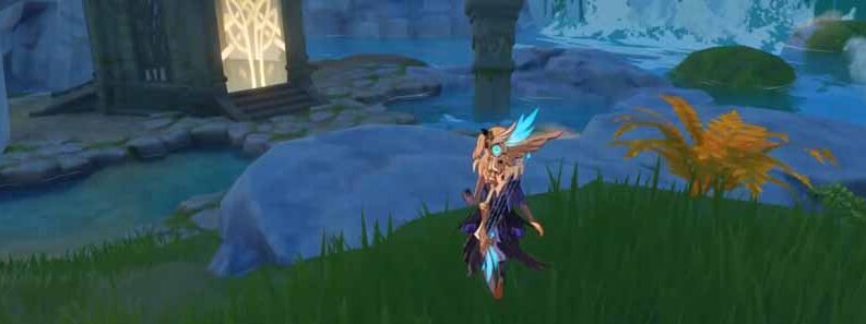 shrinte depth locations cover