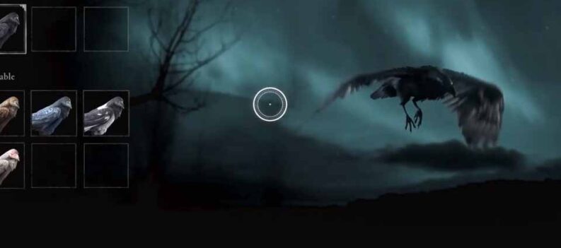 change bird assassins creed valhalla 1