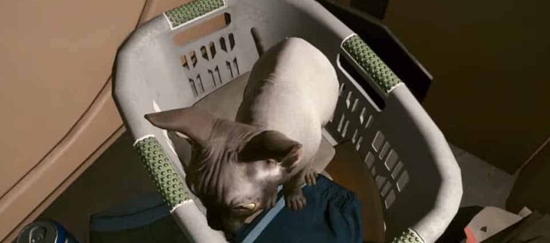 cat pet cyberpunk 2077