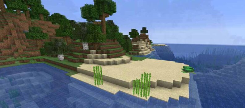 sugar cane minecraft