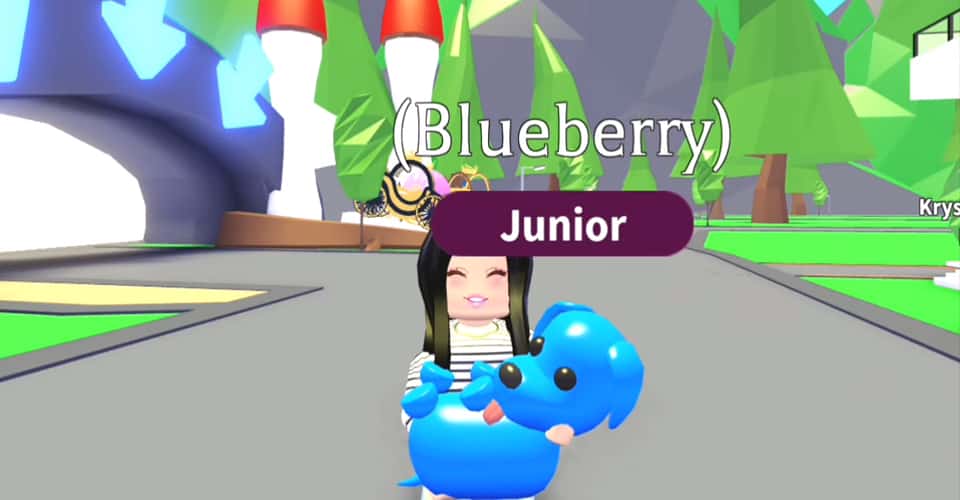 Adopt Me: How Much is a Blue Dog Worth