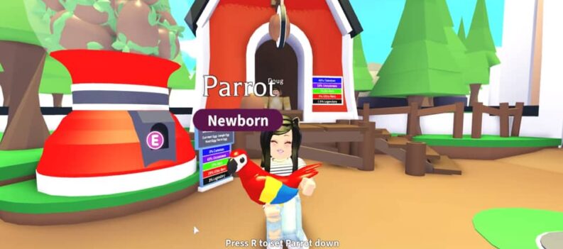 adopt me how much is a parrot worth