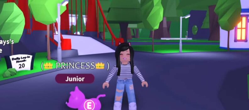 adopt me how much is a pink cat worth